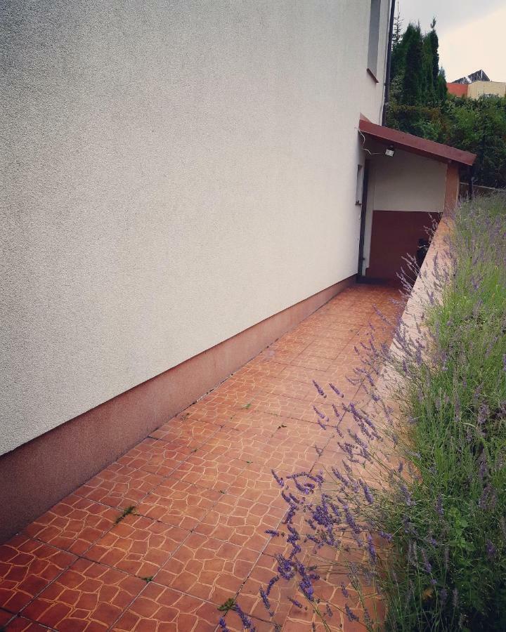 Apartament Studencki No 3 Διαμέρισμα Όλστυν Εξωτερικό φωτογραφία